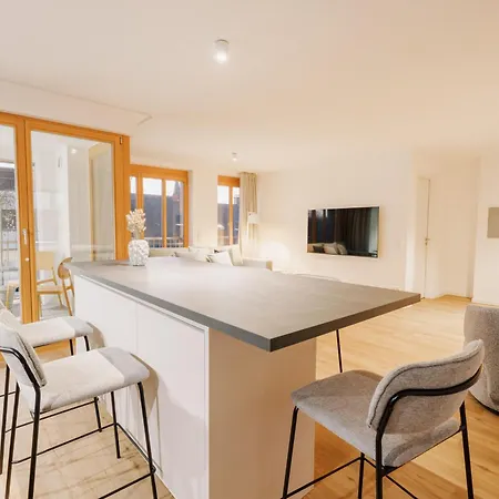 דירה 88 Qm - Exklusiv & Angebunden - Werse Loft By Youpartments