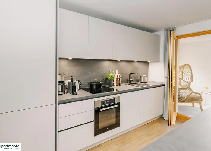 88 Qm - Exklusiv & Angebunden - Werse Loft By Youpartments *